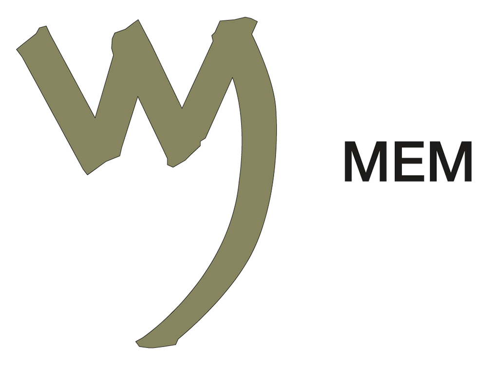 The Phoenician letter MEM, which symbolized water.